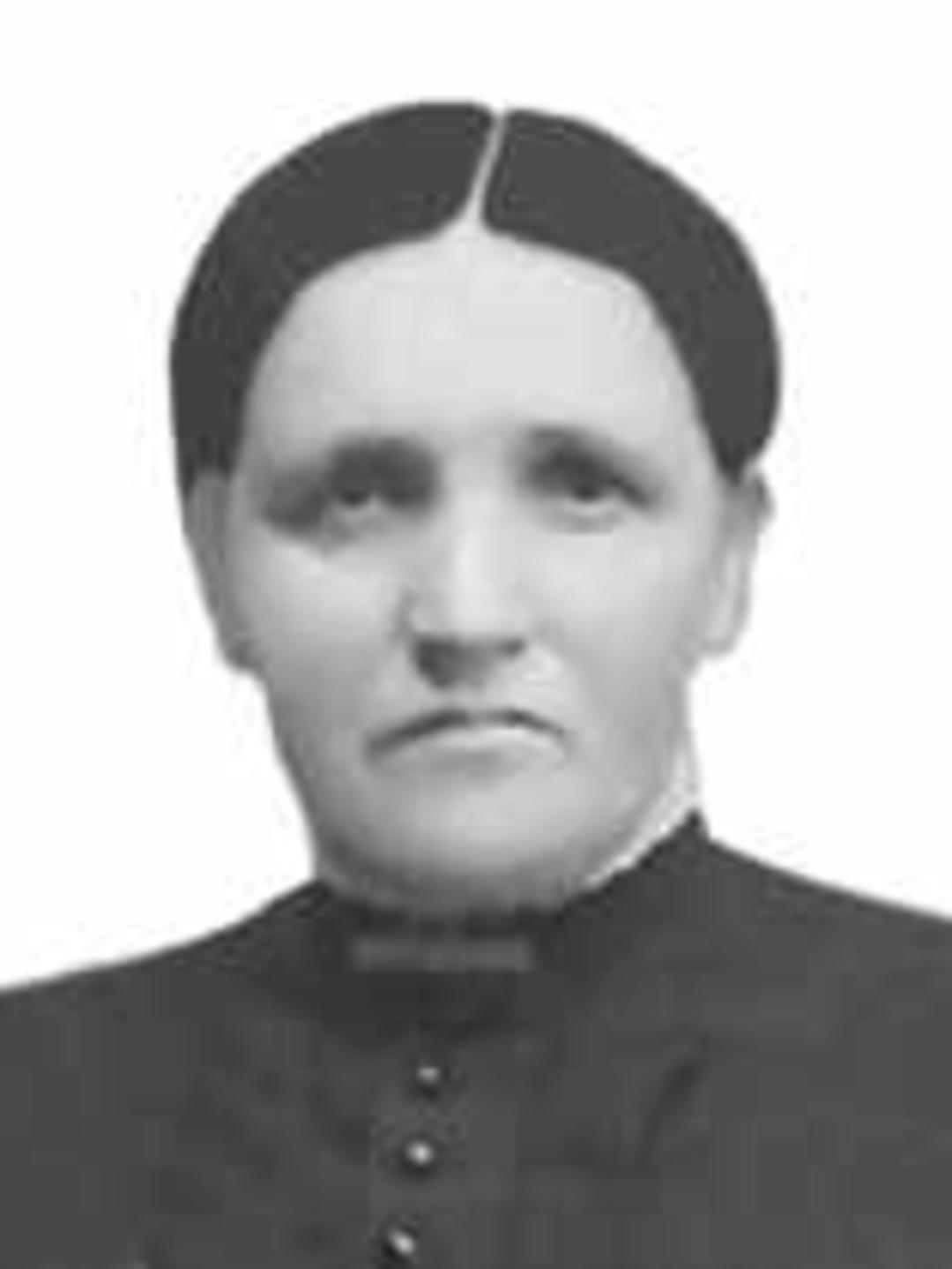 Elizabeth Cottrell (1844 - 1924) Profile
